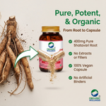 Organic Wellness Shatavari A+ Capsules -  90 Capsules