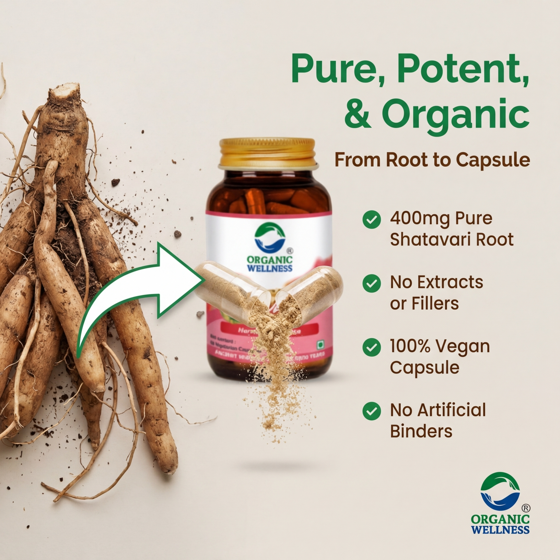 Organic Wellness Shatavari A+ Capsules -  90 Capsules