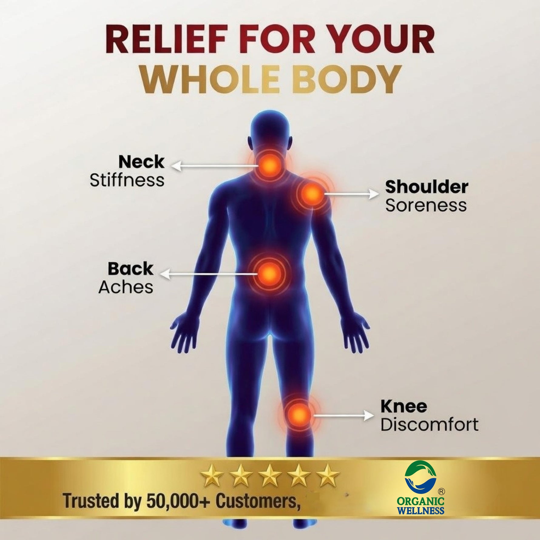 Organic Wellness Pain-R Oil 100 Ml