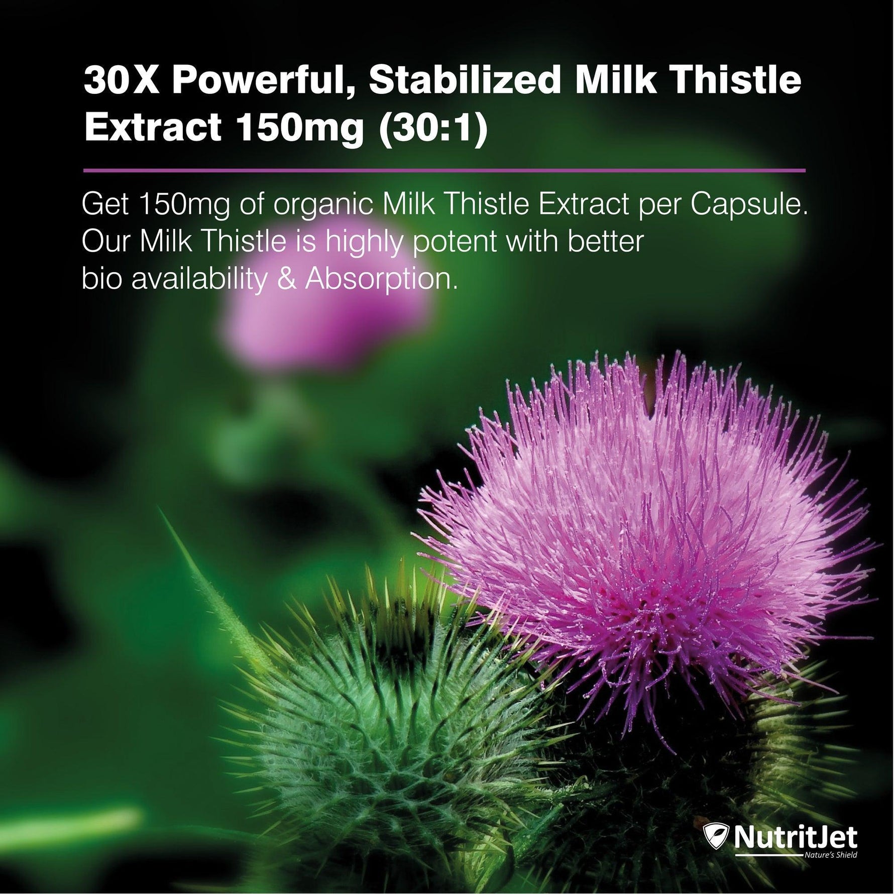 NutritJet Milk Thistle 150mg Capsule - 120 Capsules
