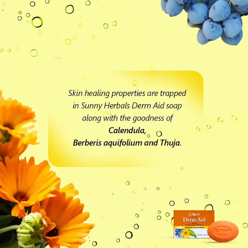 Sunny Herbals Derm Aid Soap