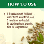 Organic Wellness Gurmar Capsules -  90 Vegetarian Capsules