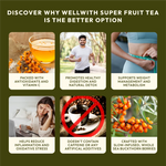WellWith Sea Buckthorn Super Fruit Tea (20 Infusion Tea Bags, 2g Each)