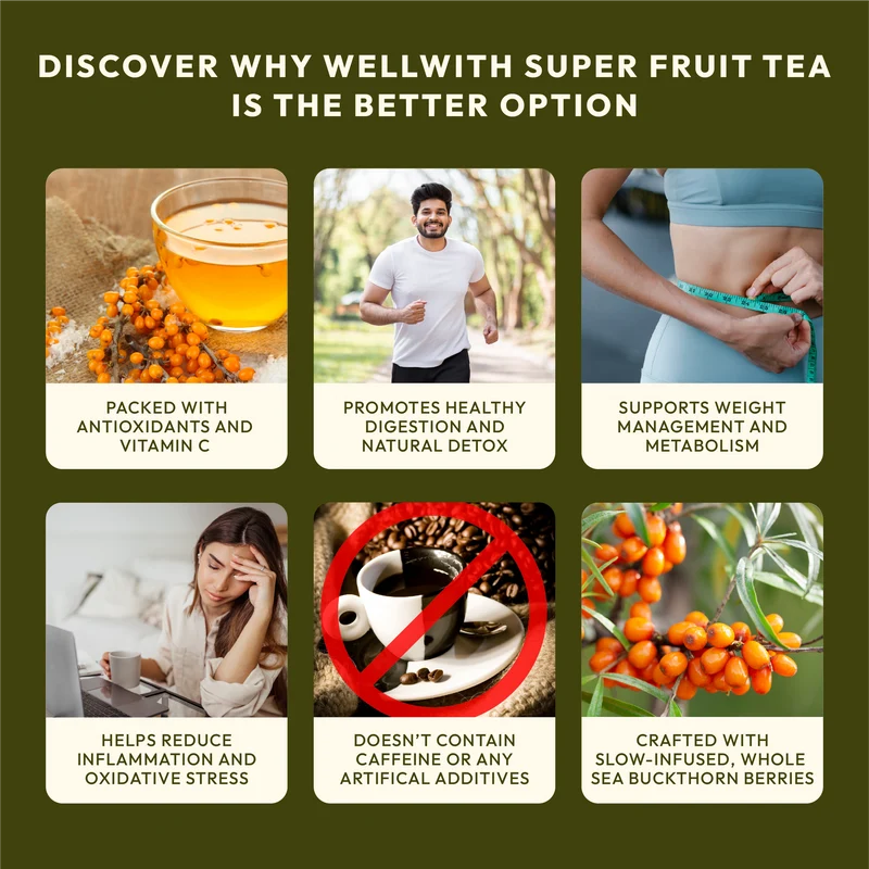 WellWith Sea Buckthorn Super Fruit Tea (20 Infusion Tea Bags, 2g Each)