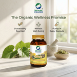 Organic Wellness Giloy Capsules - 90 Capsules