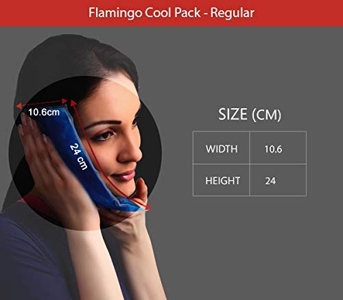 Flamingo Cool Pack HC-1004 Regular