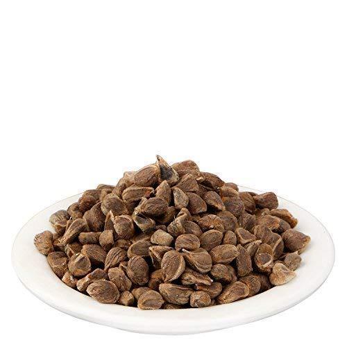 YUVIKA Beej Bidhara Asli - Vidhara Seeds - Vruddhadaru