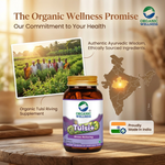 Organic Wellness Tulsi+ Capsules -  90 Capsules