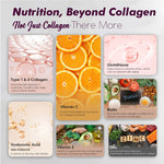 Vitaminnica Vita Beauty Collagen Powder - Mango Type I & III Peptides, 30 Servings