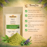 Kayee Ayurveda Indigo Hair Powder for Natural Hair Colouring | Pure Indigo Powder for Black & Dark Brown-Looking Hair | Herbal Hair Colour Powder for Grey Hair Coverage & Hair Care | Plant-Based Hair Dye Powder for Women & Men | 100 g
