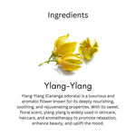 Khadi Ylang Ylang Essential Oil | Pure & Natural Ylang Ylang Oil for Hair, Scalp & Skin Care | Essential Oil for Healthy-Looking Hair & Relaxation | Floral Aromatherapy Oil | 15 ml