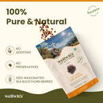 WellWith Sea Buckthorn Natural Dry Berries (100g)