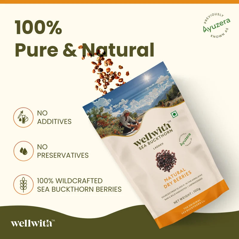 WellWith Sea Buckthorn Natural Dry Berries (100g)
