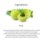 Khadi Amla Powder for Hair & Scalp | 100% Natural Indian Gooseberry Powder | Hair Fall, Hair Strength & Scalp Care | Helps Improve Hair Texture & Shine | Natural Hair Pack | For All Hair Types | 100 gm