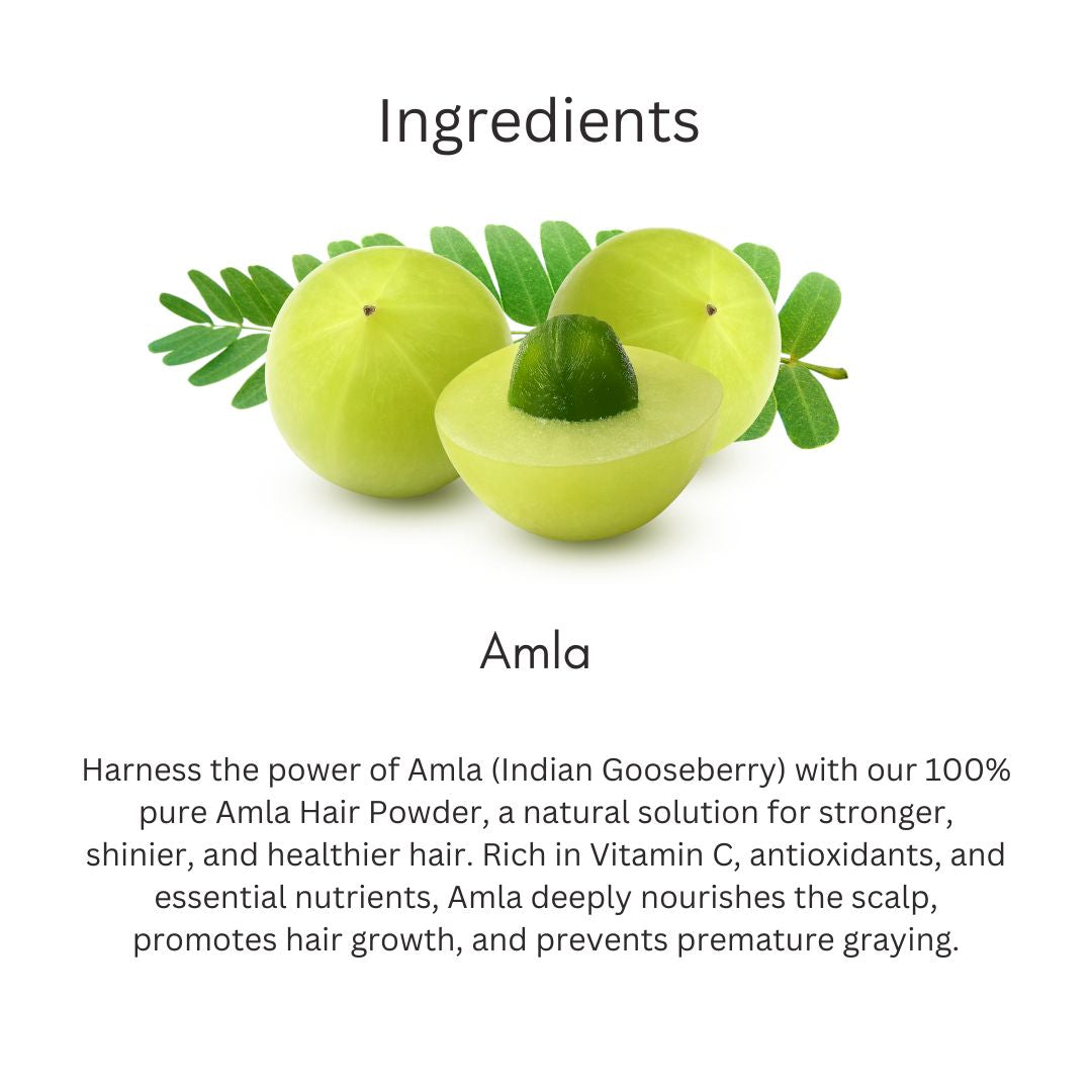 Khadi Amla Powder for Hair & Scalp | 100% Natural Indian Gooseberry Powder | Hair Fall, Hair Strength & Scalp Care | Helps Improve Hair Texture & Shine | Natural Hair Pack | For All Hair Types | 100 gm