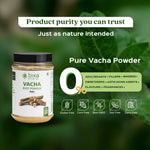 Bixa Botanical Vacha Root Powder (Acorus Calamus) | Pure Sweet Flag Rhizome Powder for Cognitive Support, Speech Clarity & Brain Health (200g)