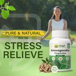 MAPL Ashwagandha Capsules | Ayurvedic Stress Relief, Energy & Vitality Support | Enhances Immunity, Cognitive Function & Stamina | 60 Capsules