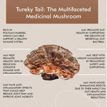 Vitaminnica Turkey Tail Mushroom Capsules - Immune Defense & Gut Health, 60 Count