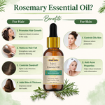 Kayee Ayurveda Rosemary Essential Oil for Hair Care, Aromatherapy, Diffuser & Massage | Refreshing Rosemary Aroma Oil for Scalp & Hair Care, Meditation, Yoga, Spa & Home Fragrance | Multi-Purpose Essential Oil | 15 ml