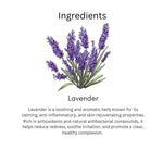 Utkrisht Khadi Pure Lavender Face Moisturizer | Soothing, Hydrating & Non-Greasy Face Cream