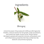 Khadi Bhringraj Powder for Hair & Scalp | 100% Natural Bhringraj Leaf Powder | Hair Fall, Hair Strength & Scalp Nourishing Care | Helps Improve Hair Texture & Shine | Herbal Hair Pack | For All Hair Types | 100 gm