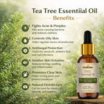 Kayee Ayurveda Tea Tree Essential Oil for Face & Hair Care, Aromatherapy & Diffuser, Herbal Aroma Oil for Skin Care, Scalp Care, Yoga, Meditation, Massage & Home Fragrance | 15 ml