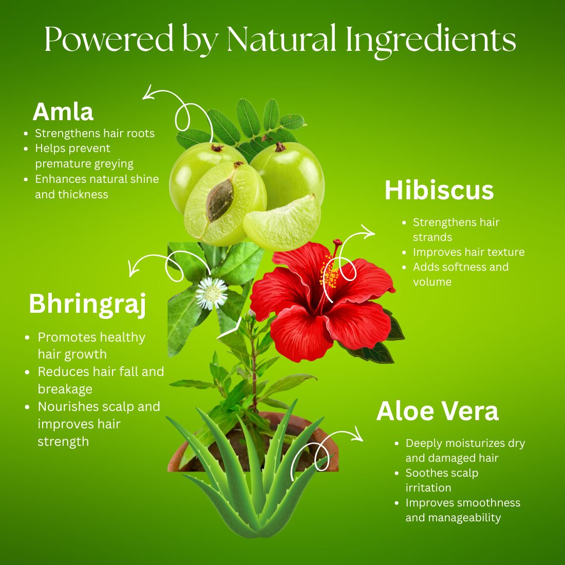Kayee Ayurveda Amla Bhringraj Hair Conditioner for Men & Women | Herbal Conditioner for Dry, Rough & Frizzy Hair | Helps Condition Hair, Improve Manageability, Reduce Roughness & Maintain Healthy-Looking Shine | 210 ml