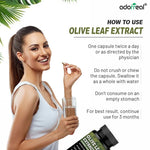 Adorreal Olive Leaf Extract Capsule | 60 Capsules