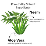 Kayee Ayurveda Neem Aloe Vera Shampoo for Men & Women | Herbal Hair Cleanser for Scalp Care | Neem & Aloe Vera Formula Helps Cleanse Dirt, Excess Oil & Impurities While Maintaining Soft, Fresh & Manageable Hair | 210 ml