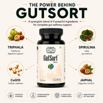 Herbs O’ Shrubs GutSort | Ayurvedic Gut Health Tablets | Digestive Enzymes With Triphala, Spirulina, CoQ10, Jaiphal | Supports Good Digestion System , Immunity & Energy | Gut Cleanse Detox Supplement, 30 Tablets