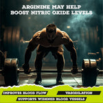 Vitaminnica Shilajit Resin & Arginine AAKG Capsules - Performance & Vitality Combo Stack