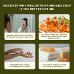 WellWith Sea Buckthorn Natural Soap (100g) (Pack of 3)