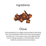 Khadi Clove Essential Oil | Pure & Natural Clove Oil for Body Massage & Aromatherapy | Warming Herbal Essential Oil for Oral Care Routines & Relaxation | 15 ml`