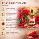 Kayee Ayurveda Rose Essential Oil, Rose Aroma Oil for Diffuser, Aromatherapy, Massage, Meditation, Yoga & Spa, Pleasant Floral Fragrance for Home, Personal Care & Relaxation | 15 ml