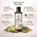 Bhudevam Naturals Khadi Triphla Hair Oil – Improves Hair Strength, Shine & Texture-210ML