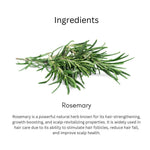 Khadi Rosemary Hair Serum for Hair Growth & Anti Hair Fall | Non-Sticky Leave-In Serum | Controls Frizz, Strengthens Hair With Rosemary Extract & Vitamin E For Men & Women - 50GM