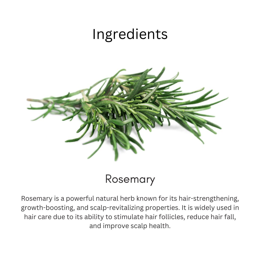 Khadi Rosemary Hair Serum for Hair Growth & Anti Hair Fall | Non-Sticky Leave-In Serum | Controls Frizz, Strengthens Hair With Rosemary Extract & Vitamin E For Men & Women - 50GM