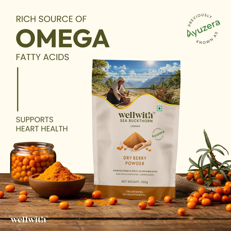 WellWith Sea Buckthorn Natural Dry Berry Powder (100g)