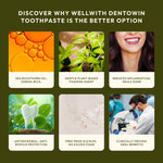 WellWith Dentowin Sea Buckthorn Herbal Toothpaste (100g) (Pack of 2)