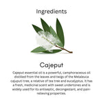 Khadi Cajeput Essential Oil | Pure & Natural Cajeput Oil for Body Massage & Aromatherapy | Refreshing Herbal Essential Oil for Respiratory Wellness & Muscle Care | 15 ml