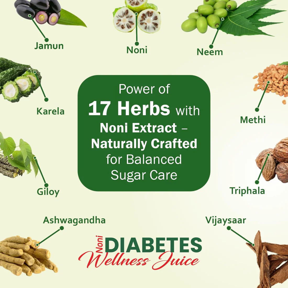 The Dave's Noni Diabetes Wellness Juice (500gm Each)