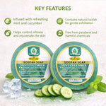 Bhudevam Naturals Khadi Mint Cucumber Loofah Soap – Natural Exfoliating Bath Soap for Cool & Refreshing Skin - 250GM (Pack of 2)