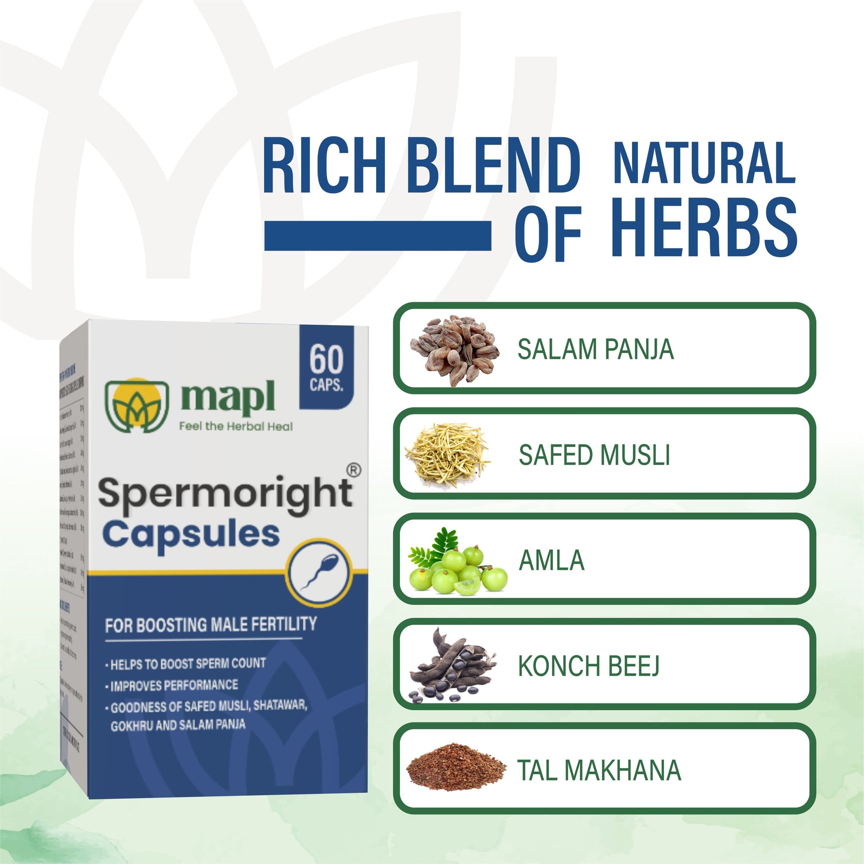 MAPL Spermoright Capsules 60 | Ayurvedic Fertility Support for Men | Boosts Sperm Count, Semen Volume, Stamina & Vitality Naturally