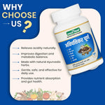 Jeena Sikho Avipatikar Churna (100g)