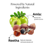 Kayee Ayurveda Amla Reetha Hair Shampoo for Strong & Healthy-Looking Hair | Herbal Shampoo for Scalp & Hair Care | Amla & Reetha Formula for Gentle Cleansing, Hair Conditioning, Softness & Healthy-Looking Shine | 210 ml