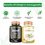 Divya Shree Ashwagandha & Shilajit Capsule Sexual Health Combo