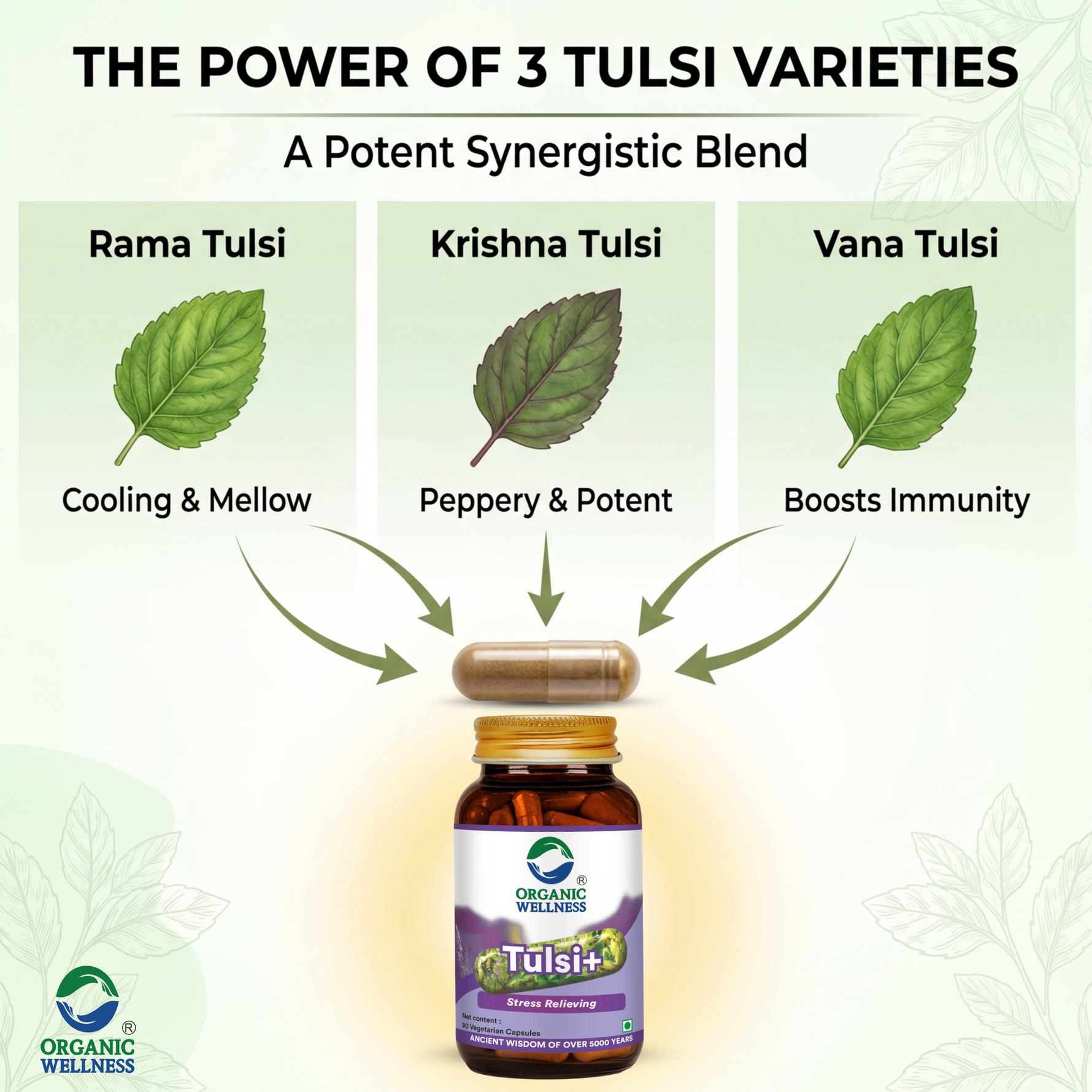 Organic Wellness Tulsi+ Capsules -  90 Capsules