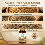 Organic Wellness Detox Capsules - 90 Vegetarian Capsules