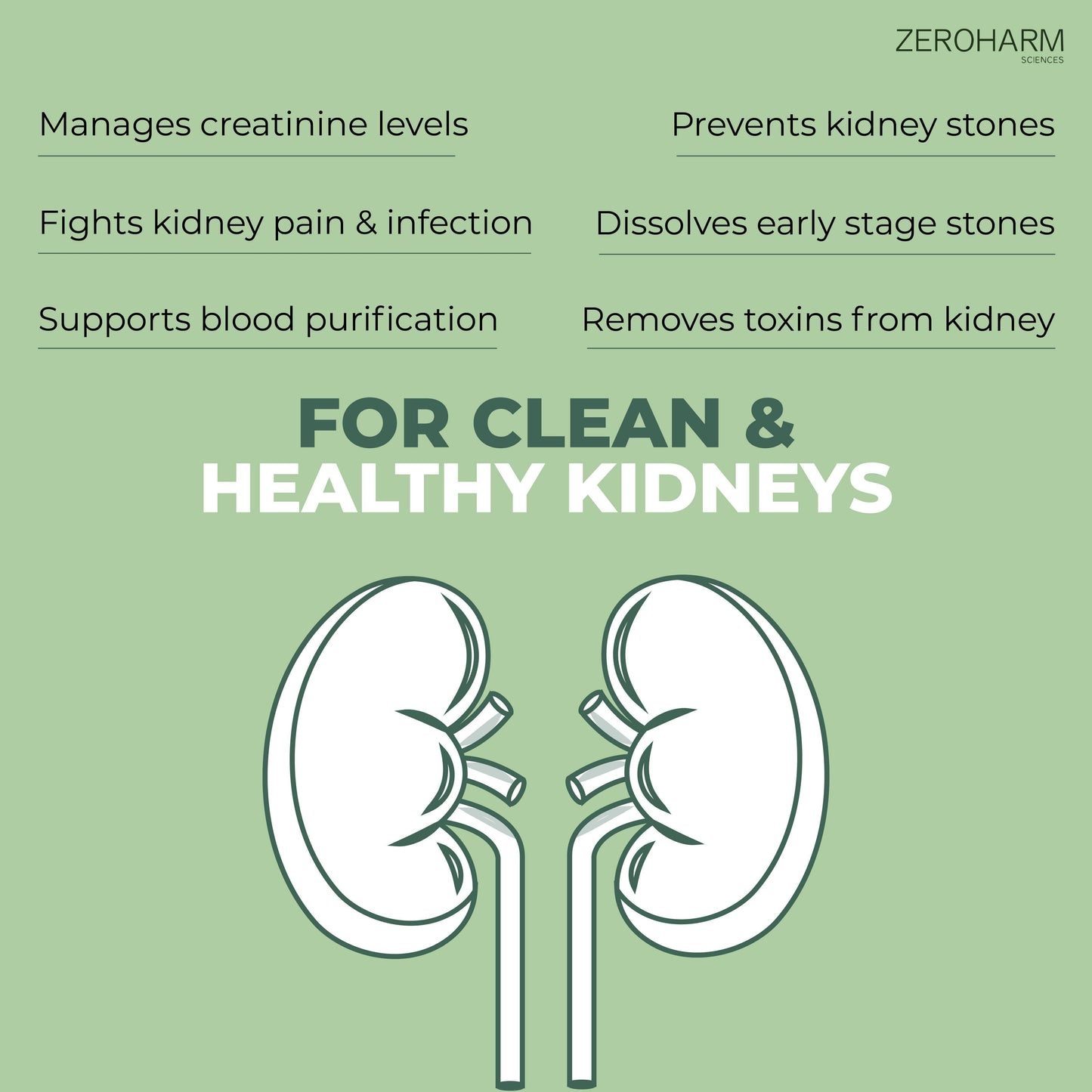 Zeroharm Holo Kidney Detox Tablet