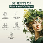 Vitaminnica Plant Based Collagen Capsules - Vegan Builder with Vitamin C & Hyaluronic Acid, 60 Count